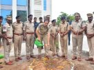 cp on environment plantation