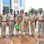 cp on environment plantation
