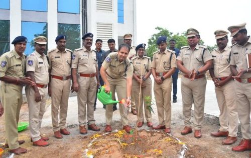 cp on environment plantation