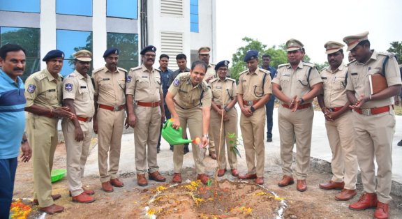 cp on environment plantation